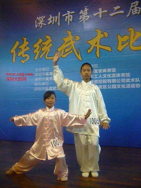 深圳市第十二届传统武术节青少年组比赛开幕