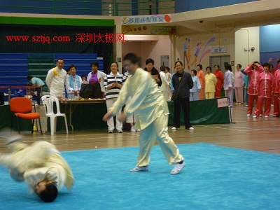 香港陈式太极拳研究会总会成立20周年庆典