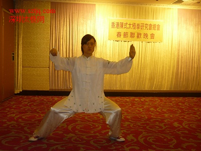 太极大师陈正雷香港行