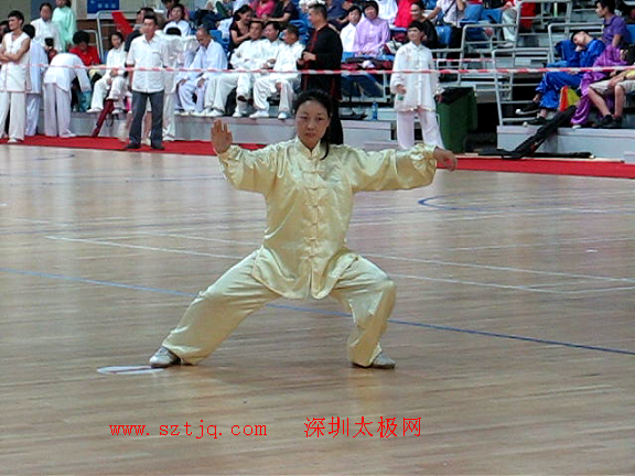 陈氏太极拳养生馆教练在中段位技术考评中获取优异成绩