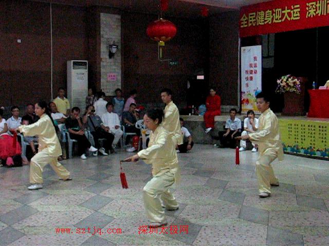 迎大运—陈式太极拳和太极推手专项交流大会取得圆满成功