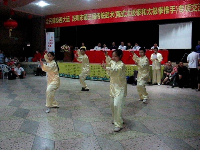 迎大运—陈式太极拳和太极推手专项交流大会取得圆满成功