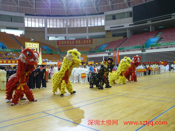深圳市第十三届传统武术顺利举行