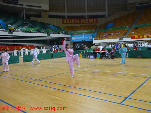 深圳市第十三届传统武术顺利举行