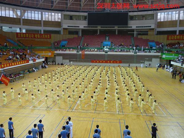 深圳市第十三届传统武术顺利举行