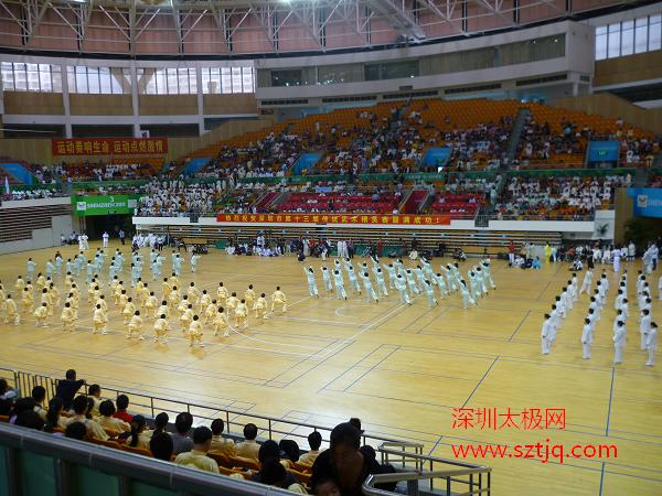 深圳市第十三届传统武术顺利举行
