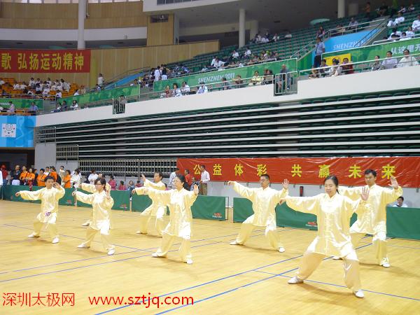 深圳市第十三届传统武术顺利举行