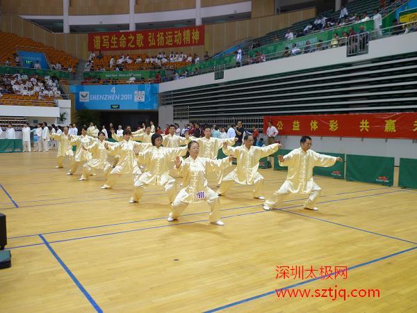 深圳市第十三届传统武术顺利举行