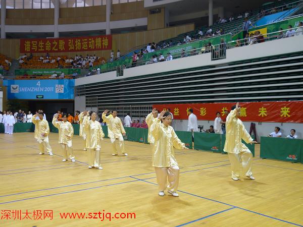 深圳市第十三届传统武术顺利举行