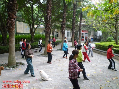 南山区锦绣花园太极拳免费培训班正式开课