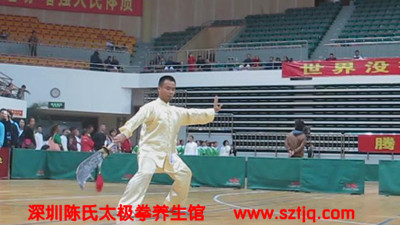 陈氏太极拳养生馆参加第十四届传统武术精英赛战果累累
