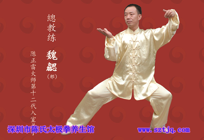 养生太极拳的意气运动