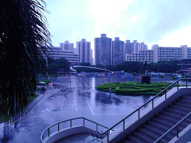 狂风暴雨也浇不灭对太极拳的热情