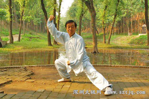 “架子不是越低越好”——陈正雷解密陈氏太极