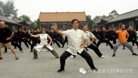 中国当代太极拳名家系列之陈正雷