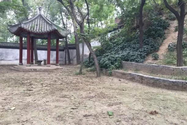 十一陈家沟学拳---【腾讯岳三峰】