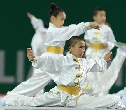 陈正雷太极拳.2017少年暑期班,火热报名中