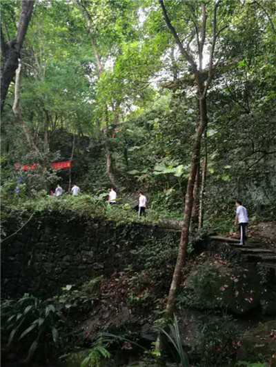 第二期太极之旅--“罗浮山”完美收官