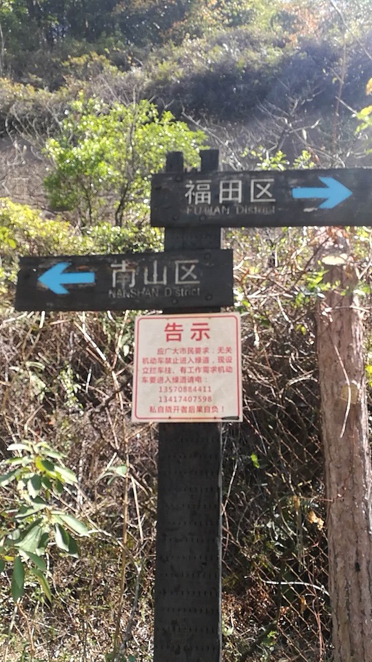 太极拳+春游2018圆满结束
