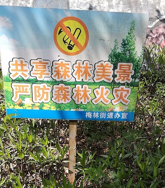 太极拳+春游2018圆满结束