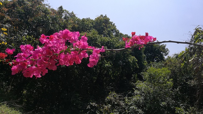 太极拳+春游2018圆满结束