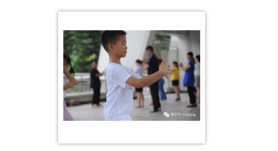 深圳人为什么要学习太极拳
